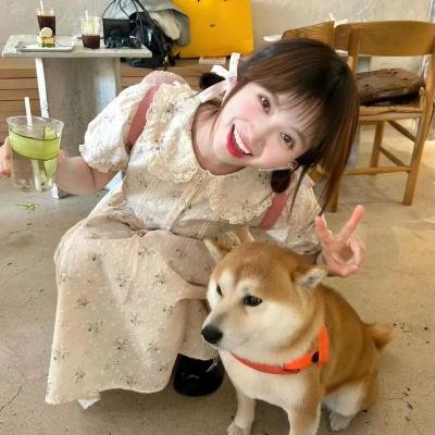 白母牛之歌